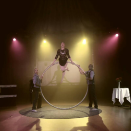 Hand balance / Lyra /Silk / Cyr wheel / Juggling / Full show